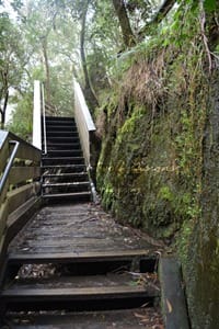 image of wooden stairs. to the right of the image is moss covered rock
